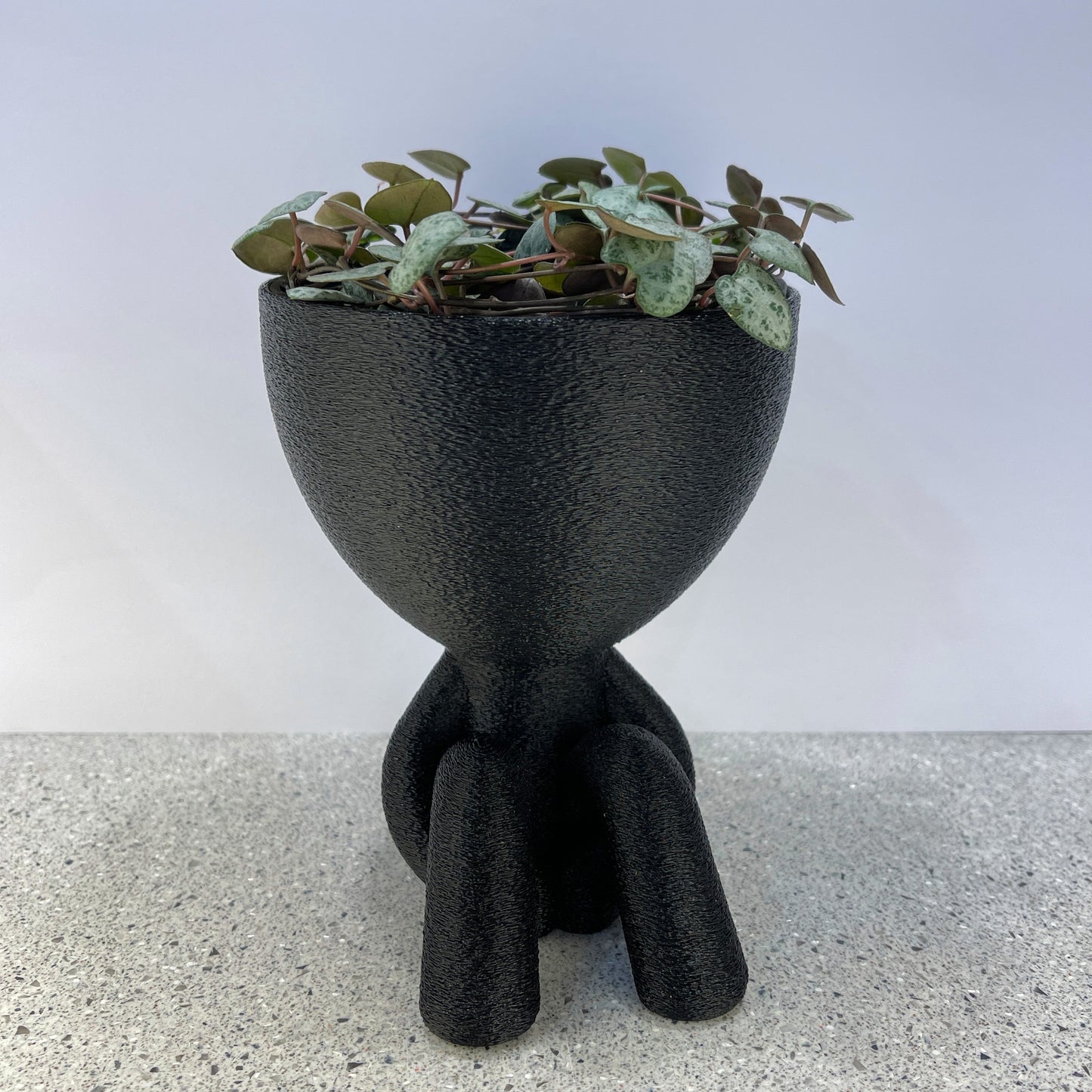 Innocent Planter