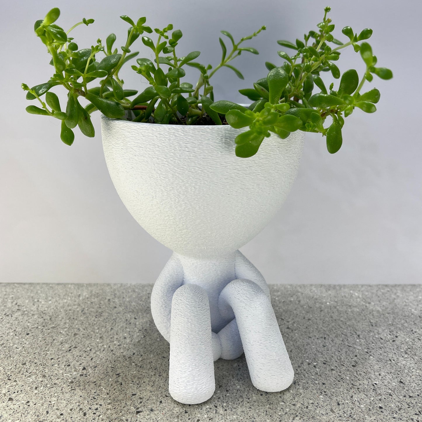 Innocent Planter