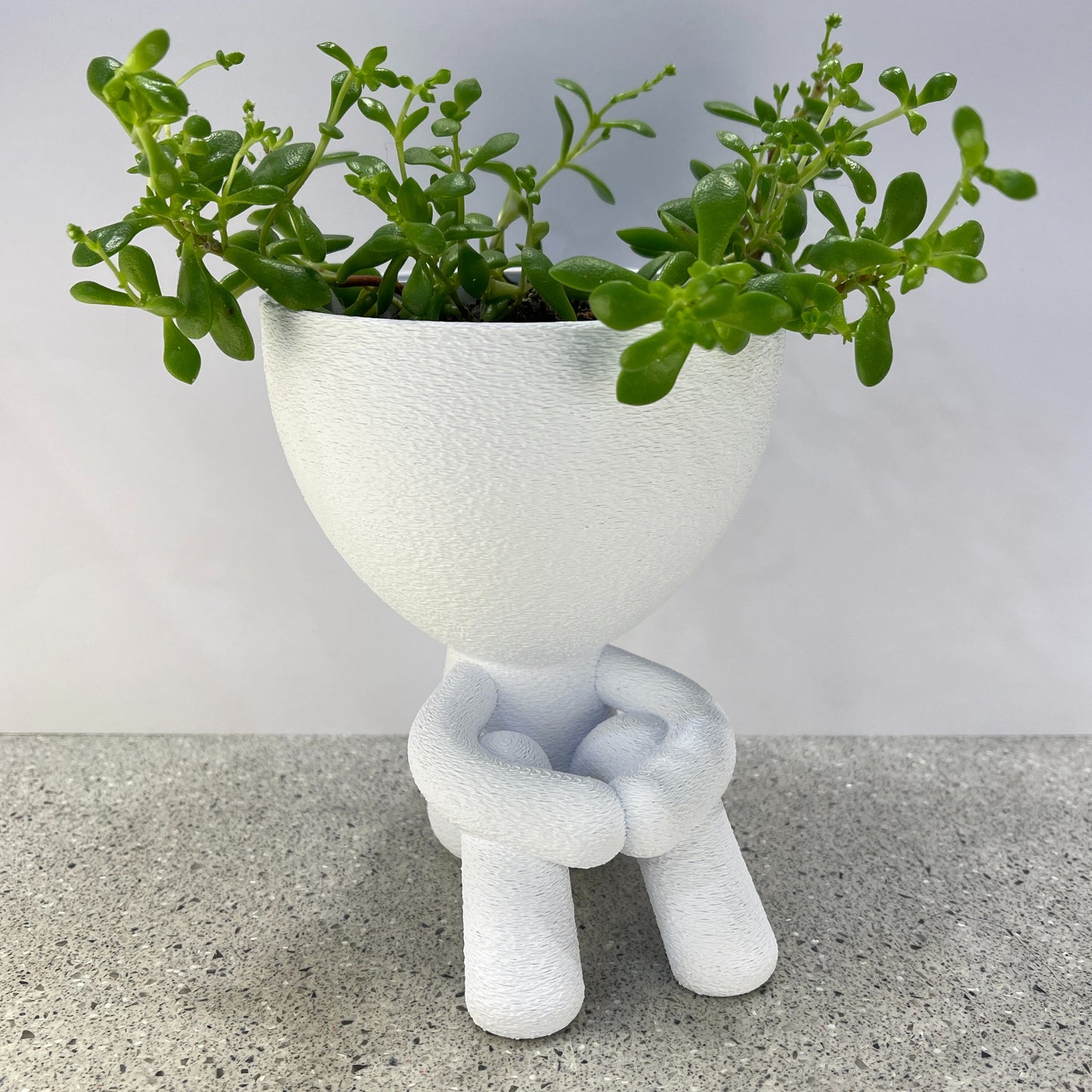 Knees Planter