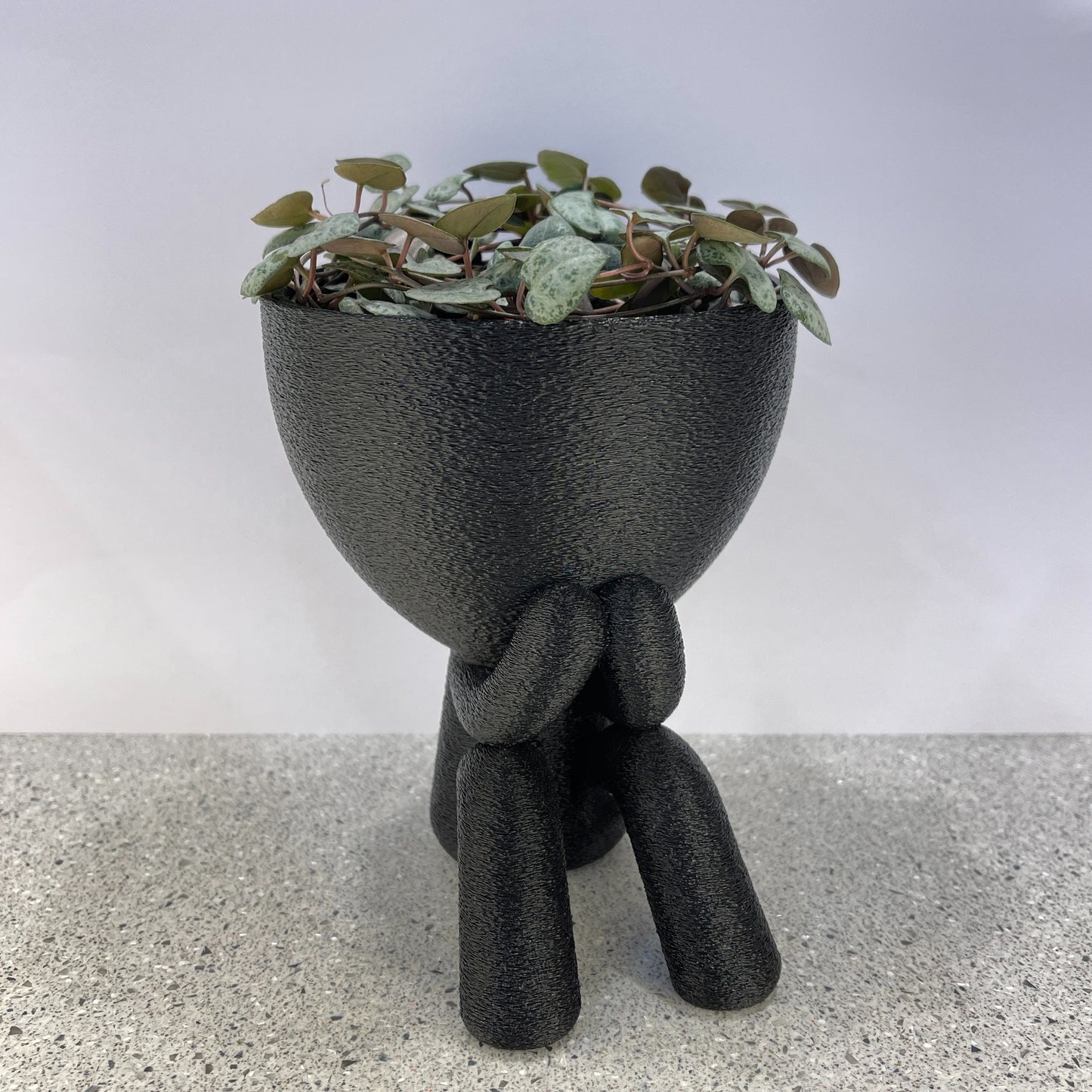 Laughing Planter