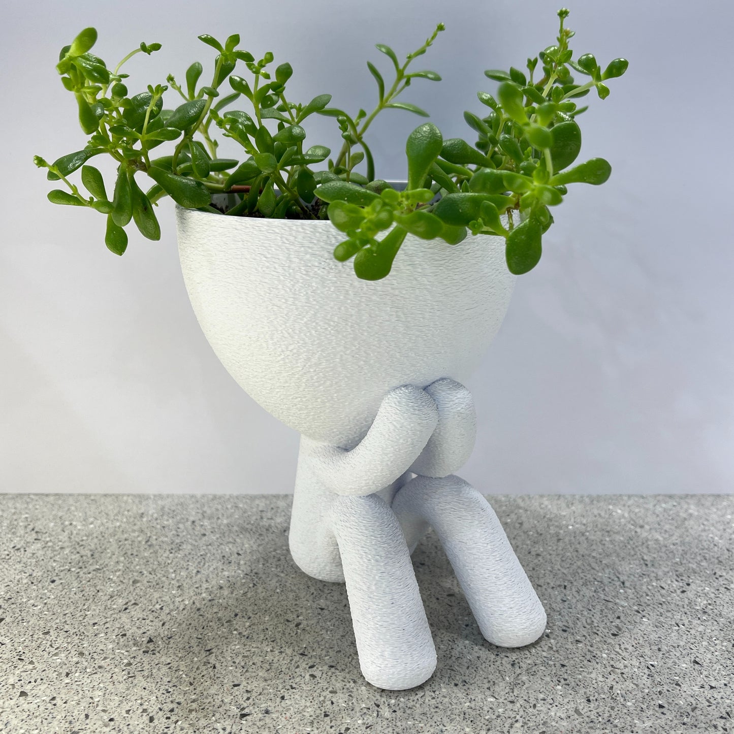 Laughing Planter