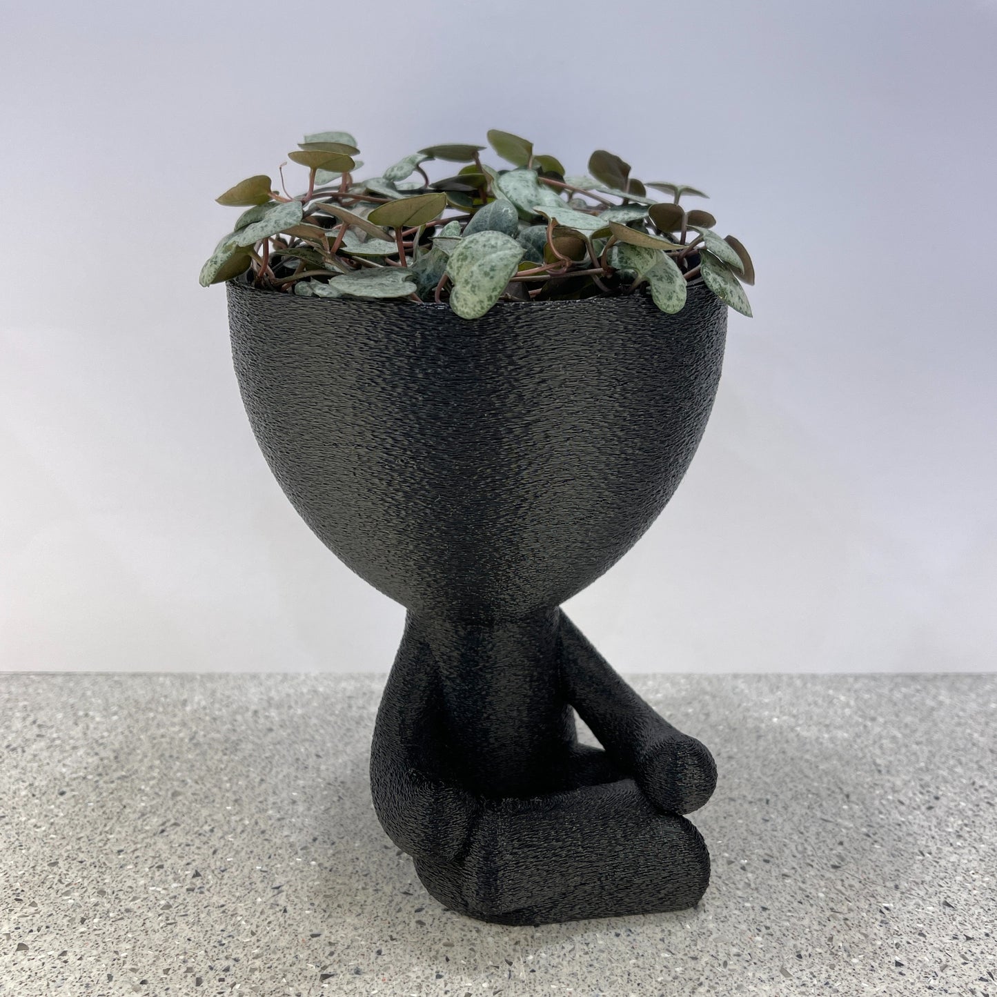 Namaste Planter