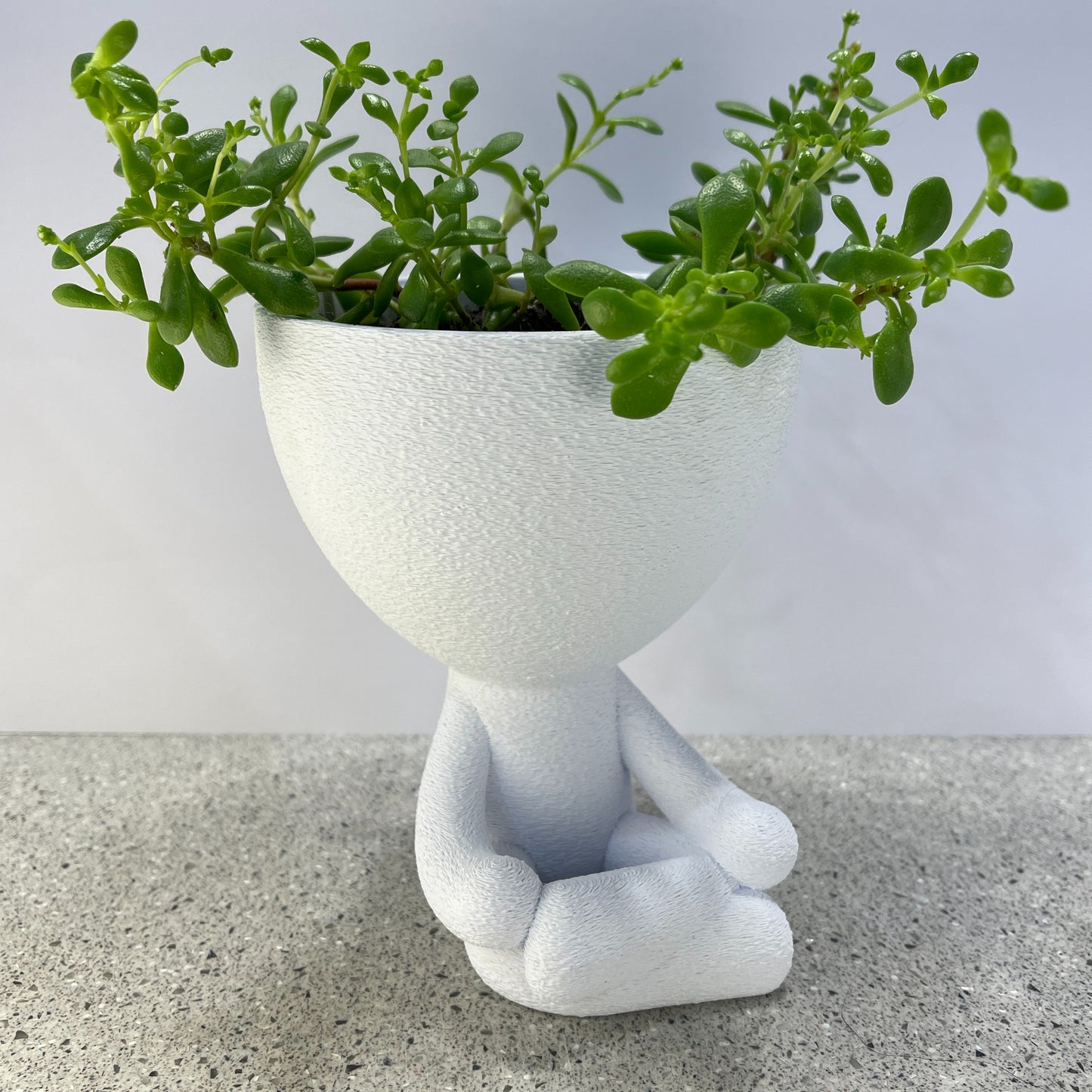 Namaste Planter