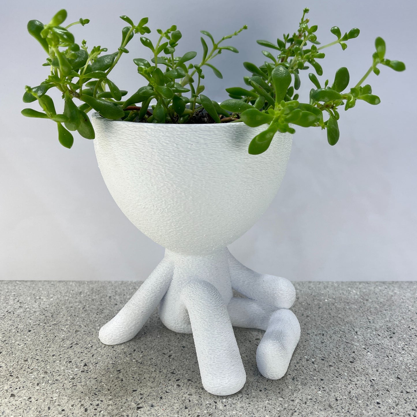Relaxed Planter