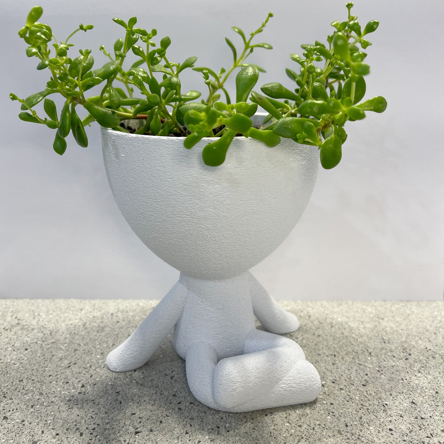 Yoga Planter